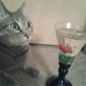 Sloth (USA-2) : I'm Feeling Warm and Romantic